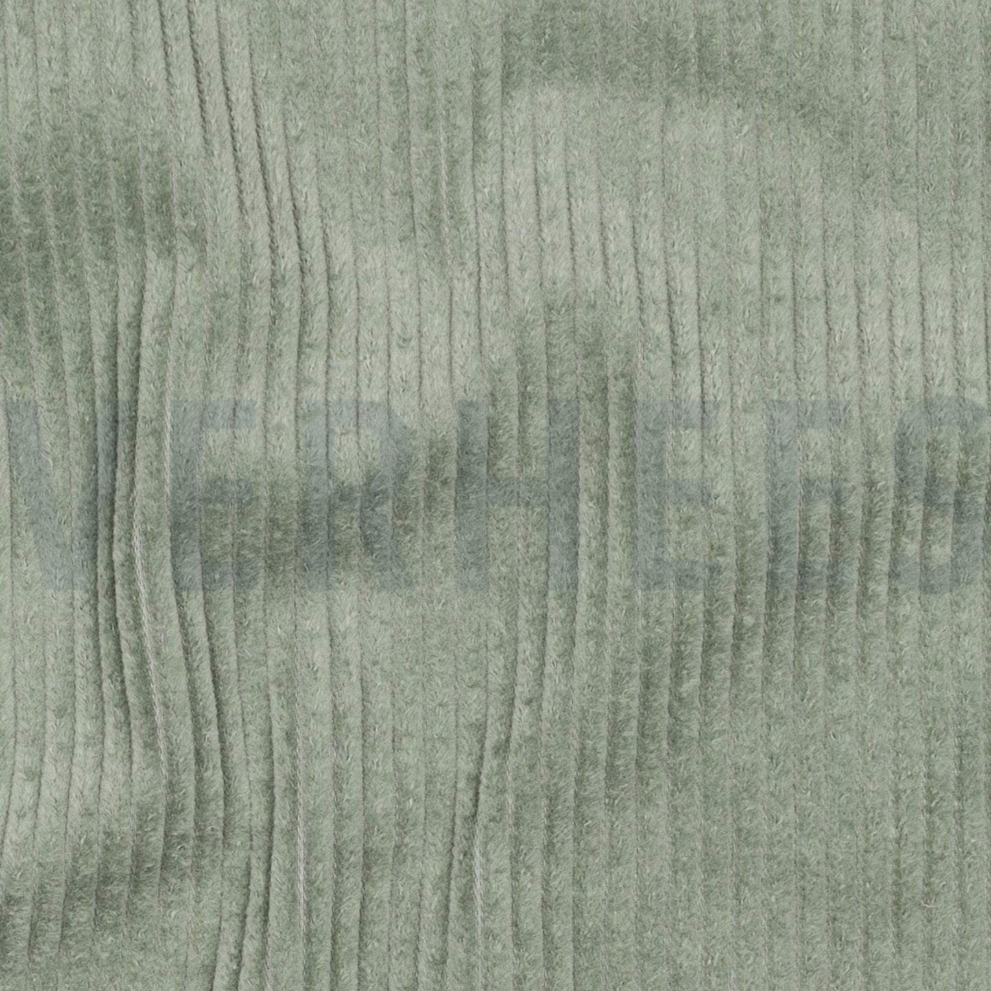 Washed Cord - sage