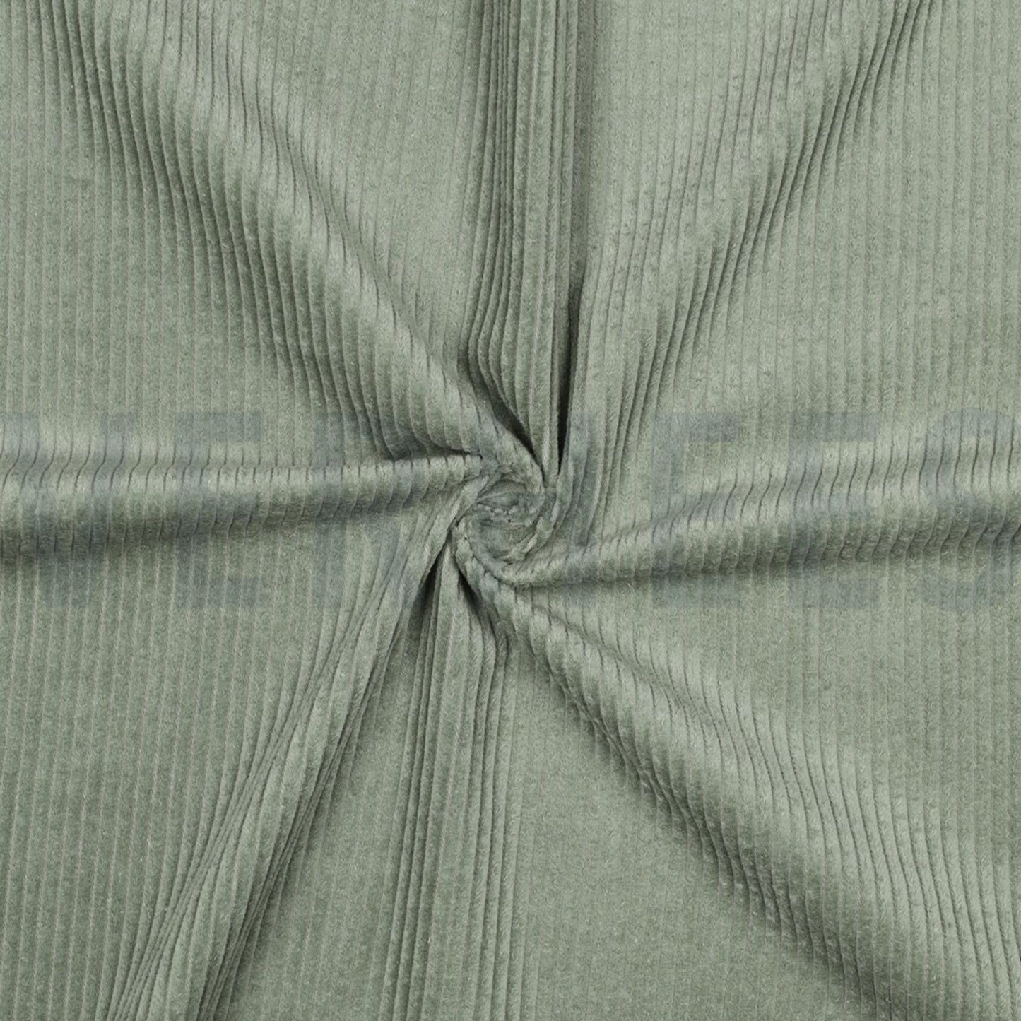 Washed Cord - sage