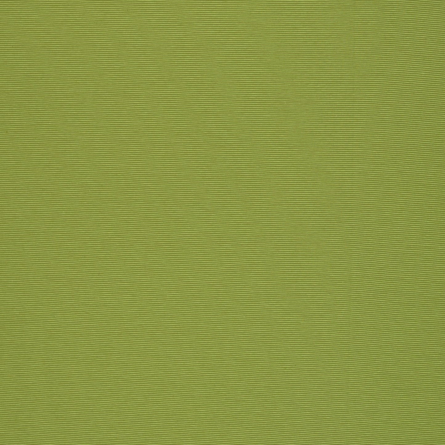 Jersey "Bella" kiwi-/heugrün