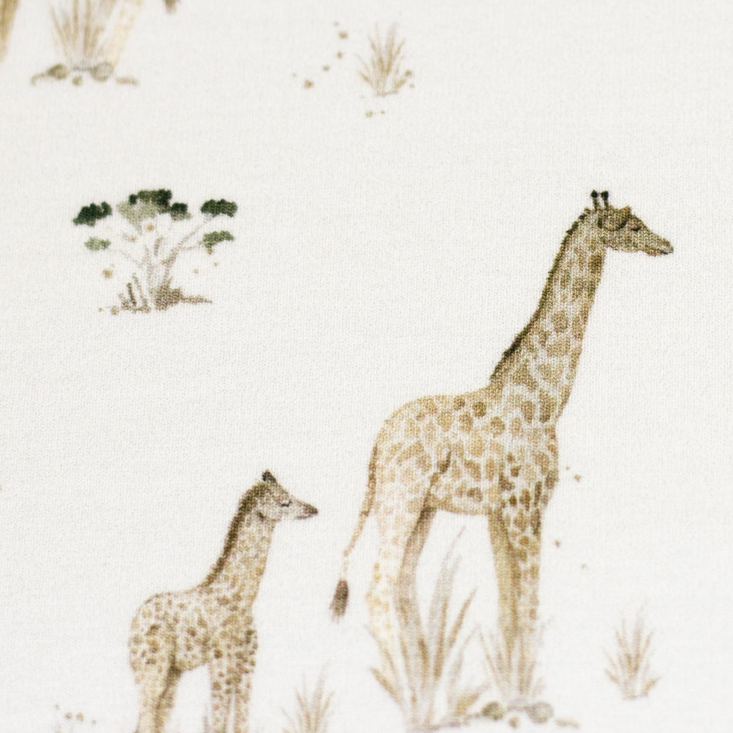 Jersey "Giraffen"