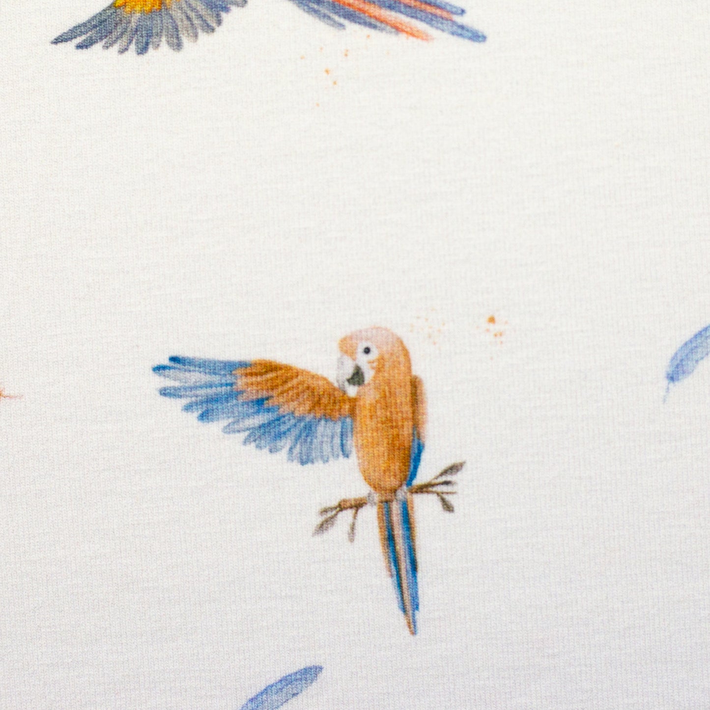 Jersey Druck "Papagei"