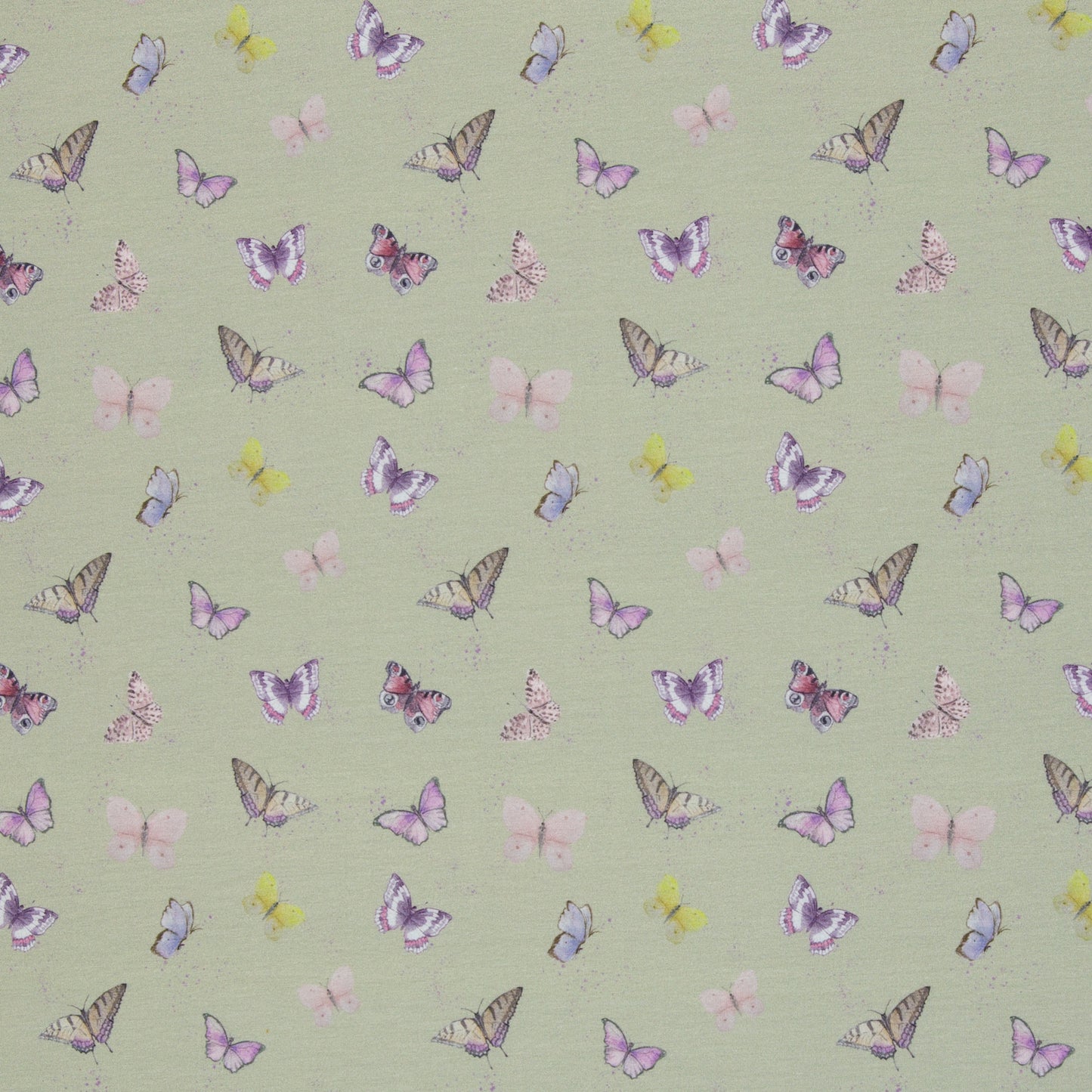 Jersey "Schmetterling" Schilfgrün