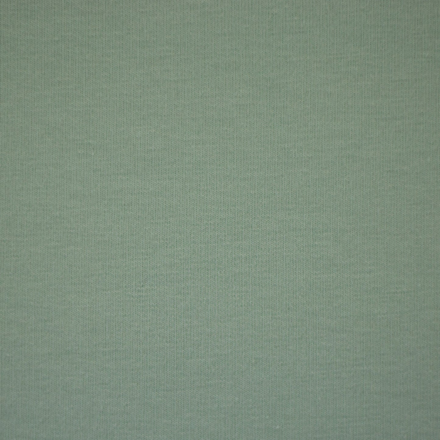 Jersey- mint (col.262)