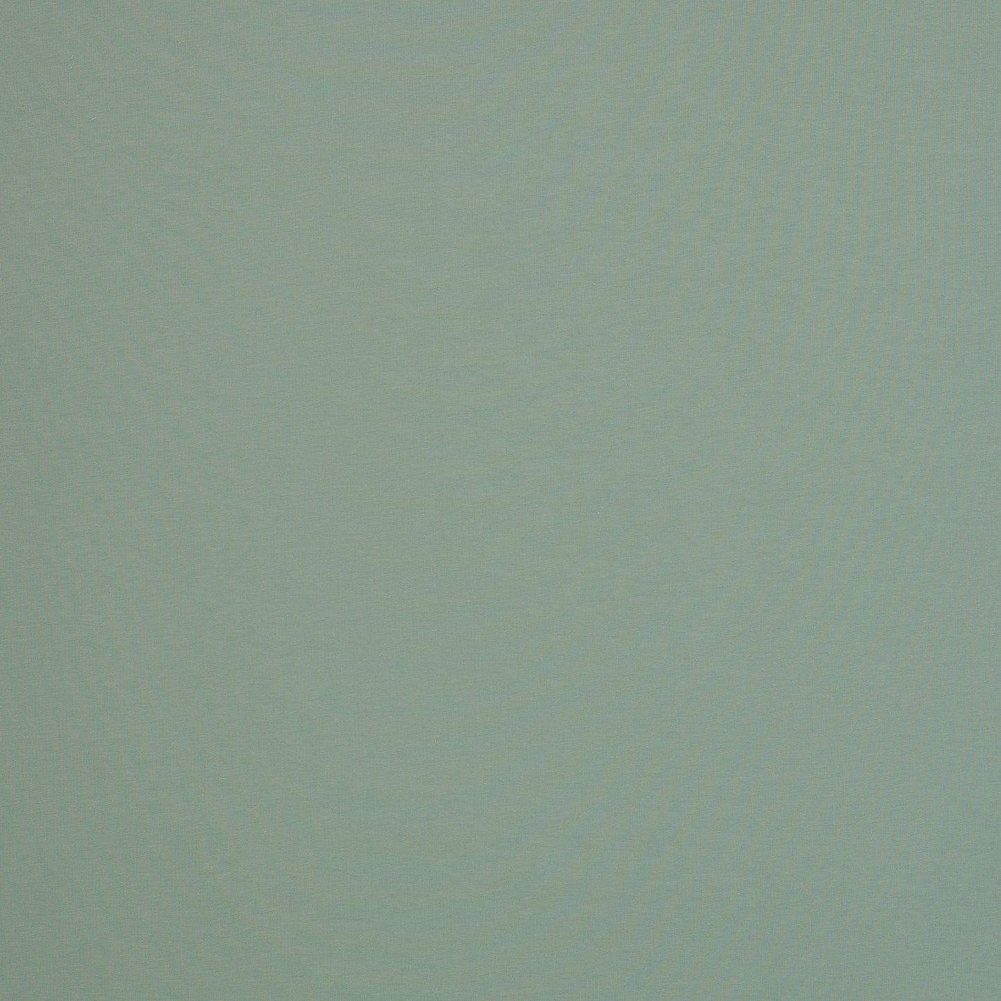 Jersey- mint (col.262)