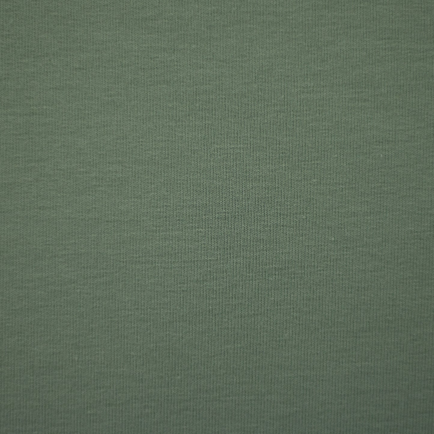 Jersey- altmint (col.265)