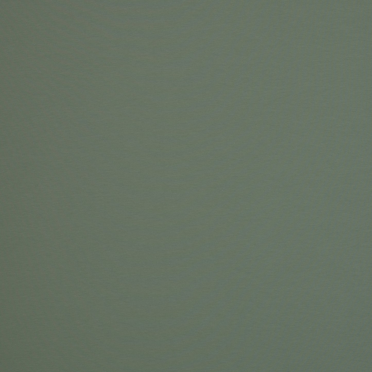 Jersey- altmint (col.265)