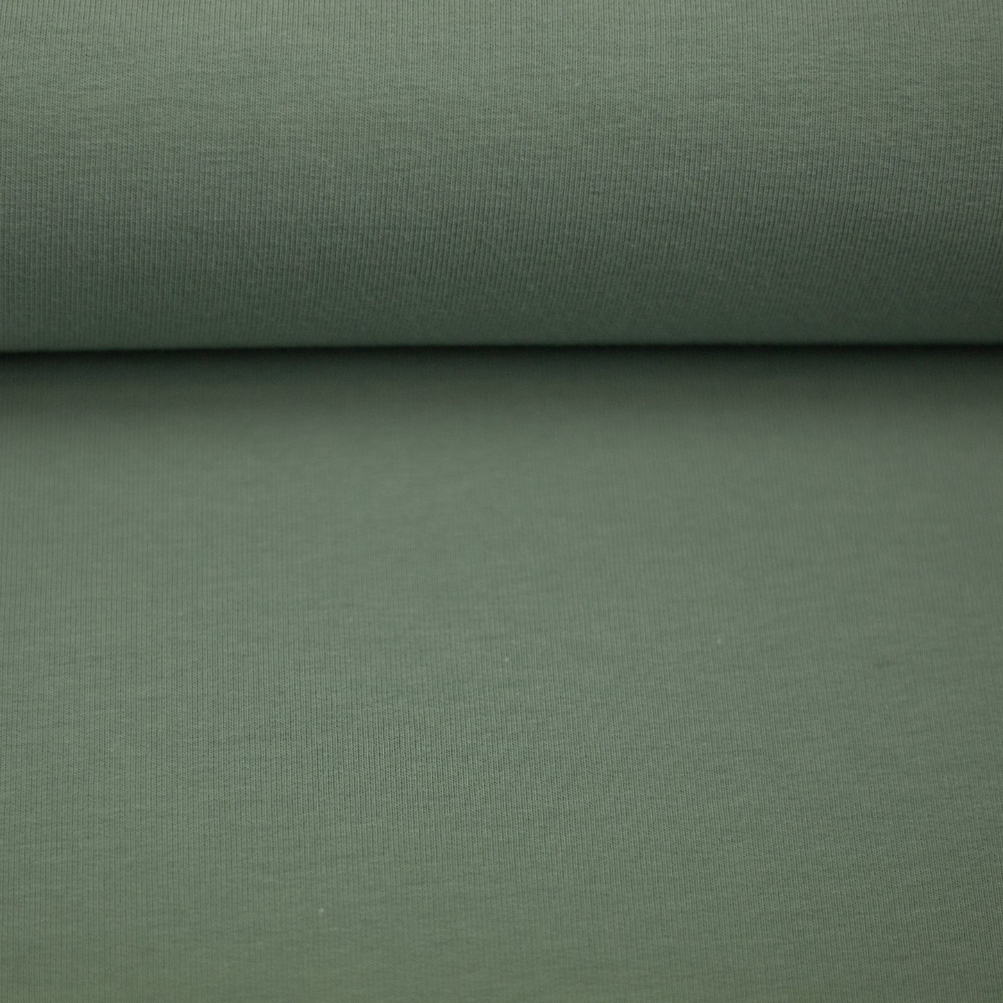 Jersey- altmint (col.265)