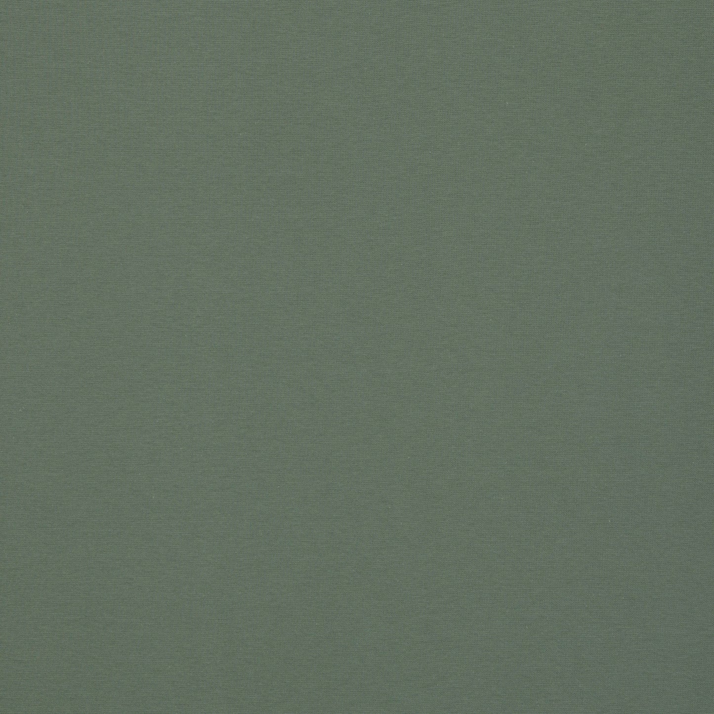 Bündchen Heike- altmint (col.265)