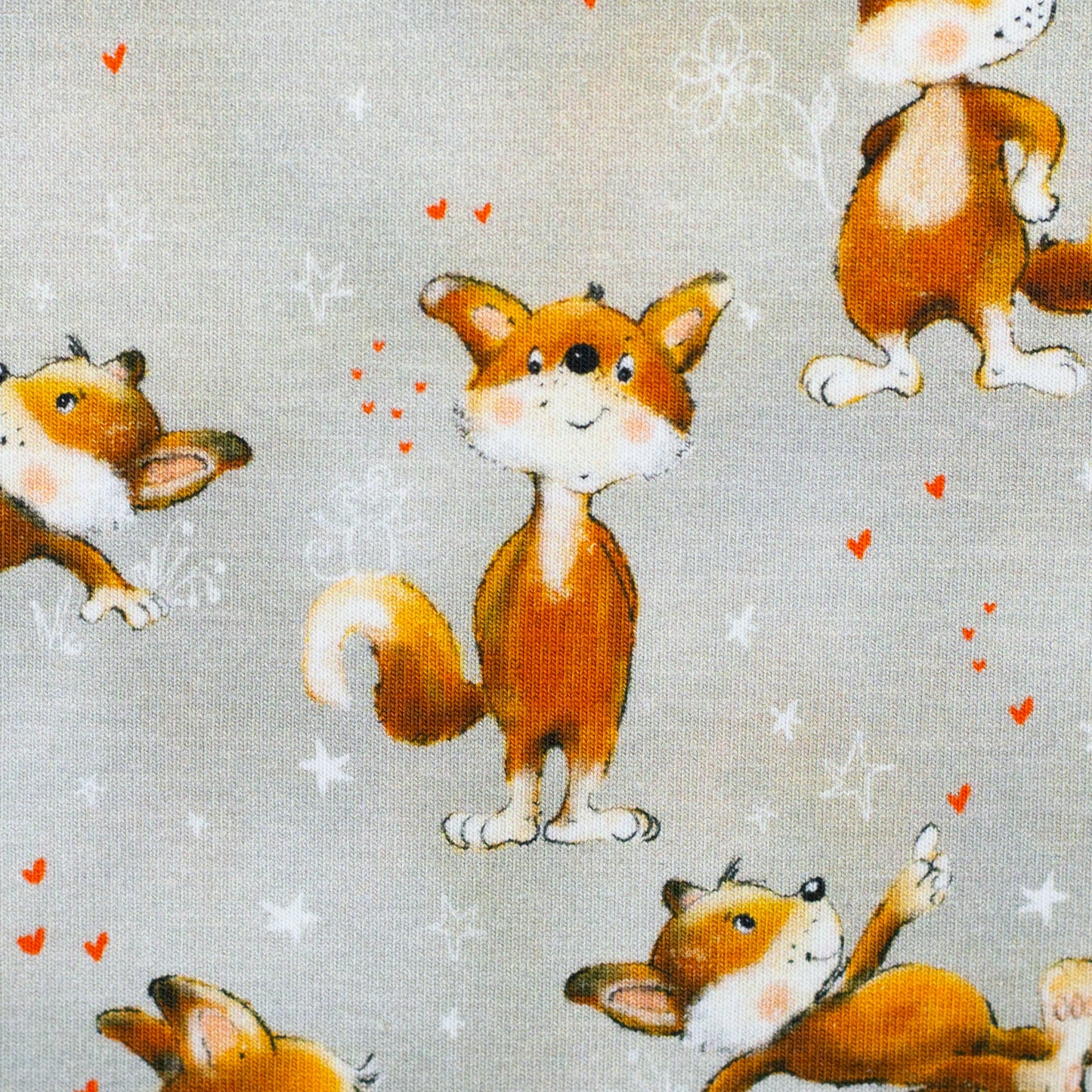 Jersey Druck "Füchse" hellgrau