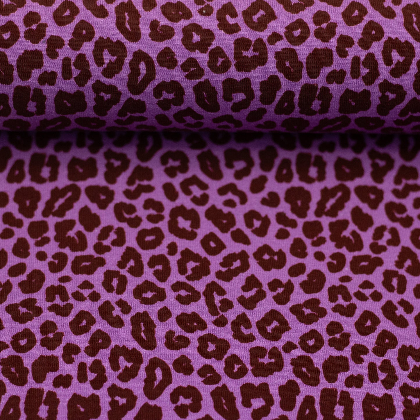 Jersey Leo Cleopatra violett