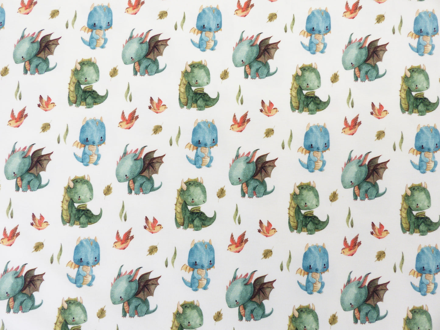 Jersey-"Dino-Freunde"