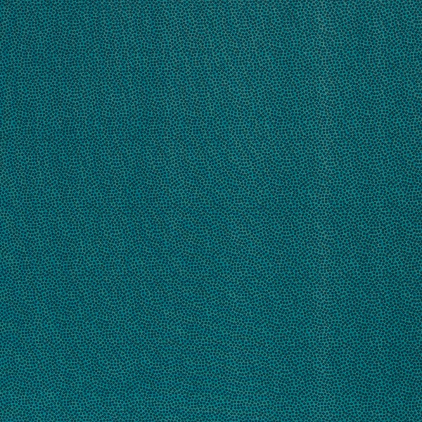Webware "Dotty " Petrol
