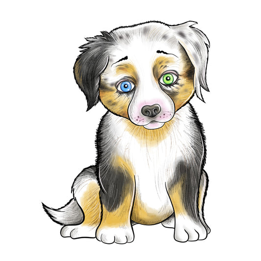 Bügelbild Australian Shepherd