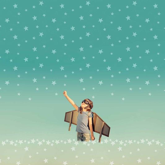 Baumwoll Jersey Druck "Karlsson" (Panel)