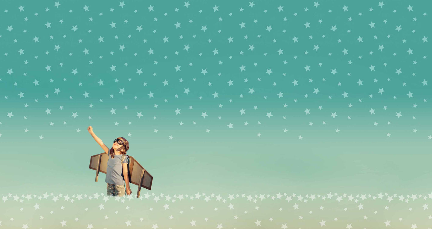 Baumwoll Jersey Druck "Karlsson" (Panel)