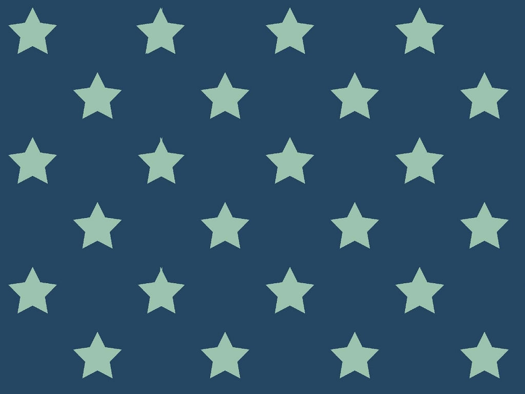 Jersey Baumwolle, Sterne und Streifen,dunkelblau, mint