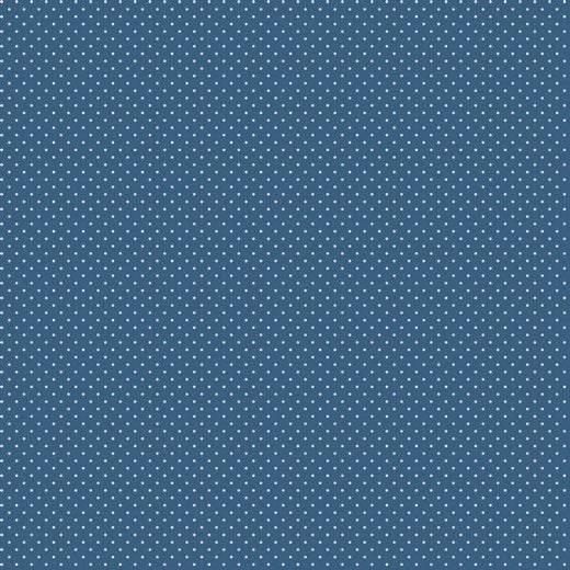 beschichtete Baumwolle - blau