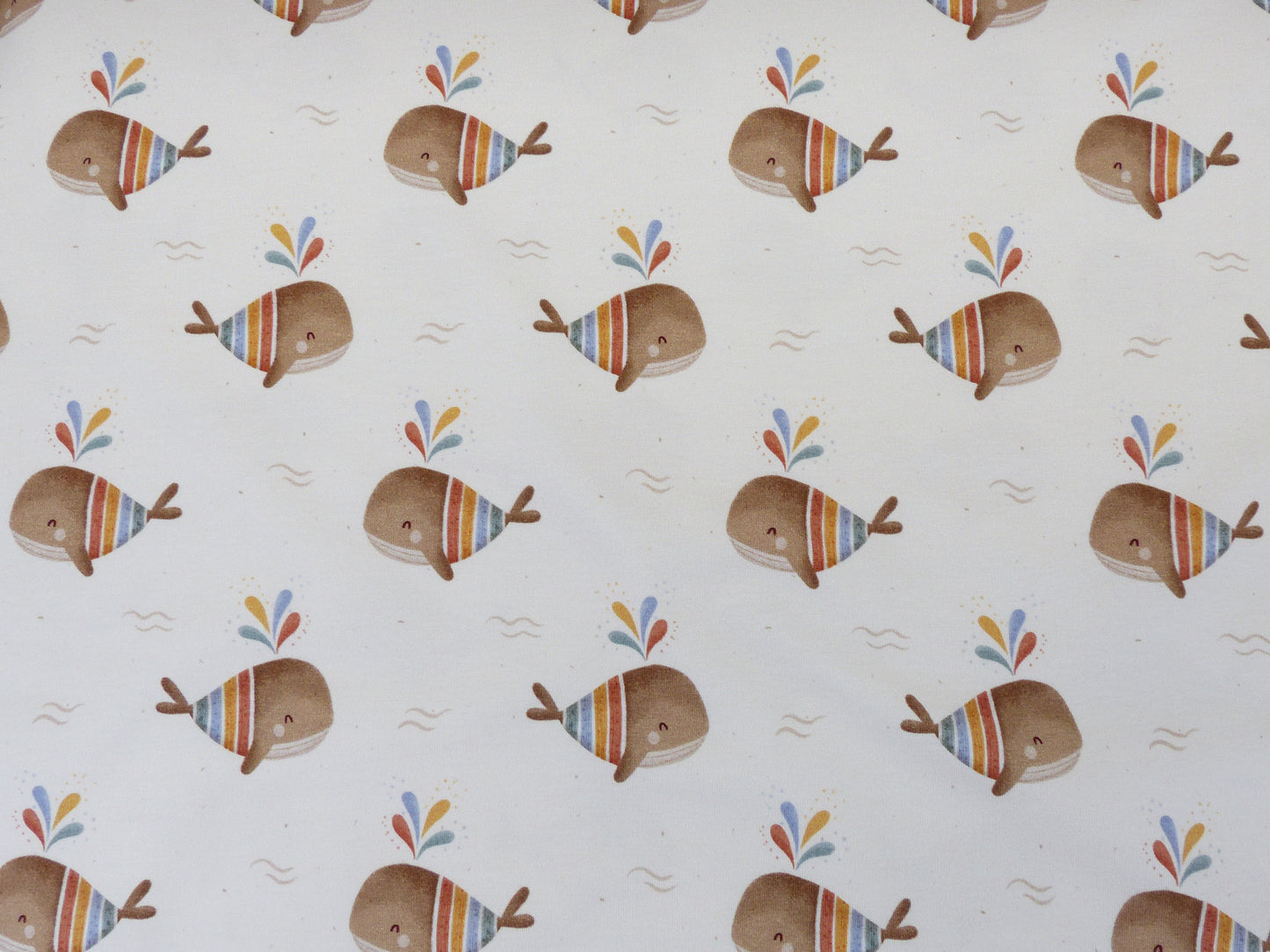 Jersey-"Regenbogen- Wal"