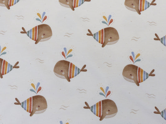 Jersey-"Regenbogen- Wal"