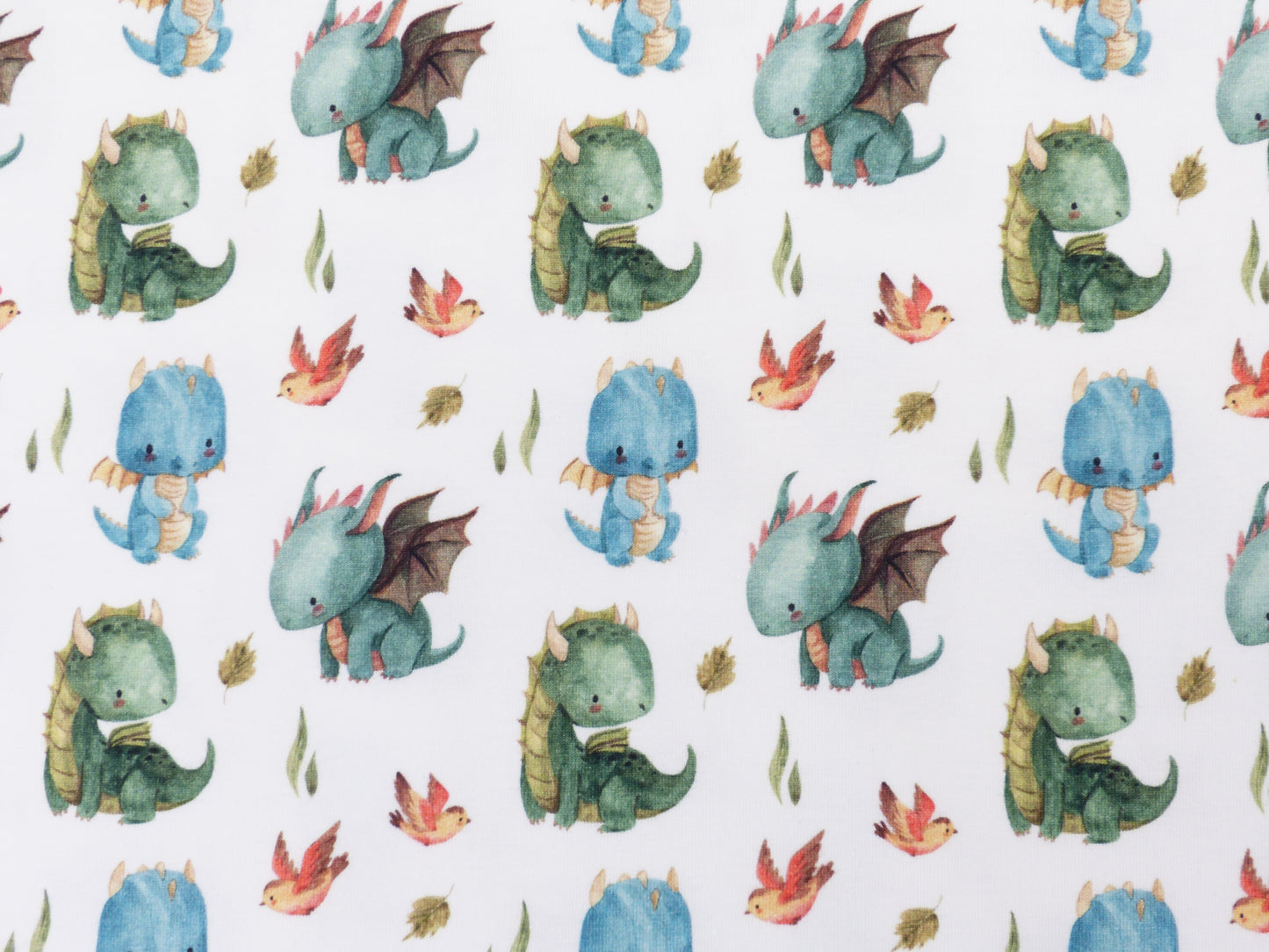 Jersey-"Dino-Freunde"