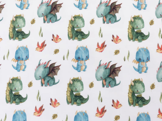 Jersey-"Dino-Freunde"