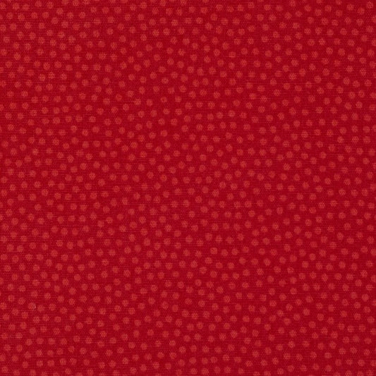 Webware "Dotty " Rot