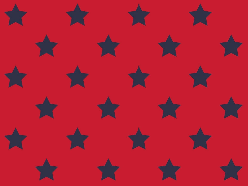 Jersey Baumwolle, Streifen und Sterne, rot, navy, weiß